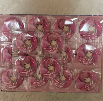 스토푸리 사토미 캔뱃지 16개