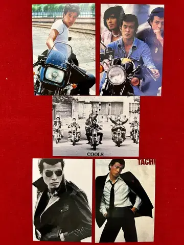 타치 히로시 L판 사진 5매 세트