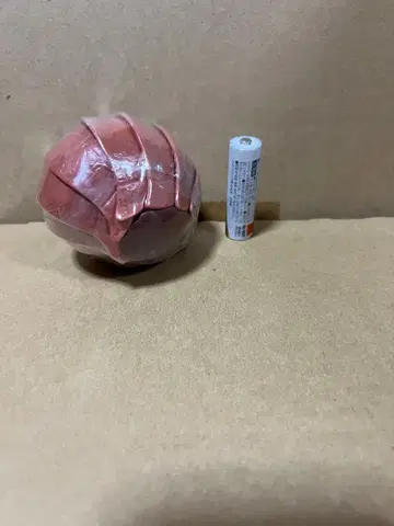 생물대도감 대왕구축충 적갈색 반다이 가샤폰 가챠가챠