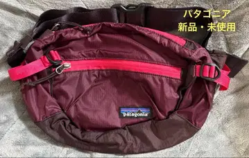 Patagonia Lightweight Travel Hip Pack