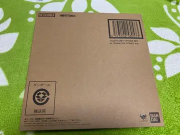 메탈빌드 플라이트 유닛 옵션 세트 얼터너티브 스트라이크 Ver.