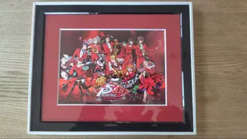 페르소나 5 BB 한정판 캐릭터 파인 그래프