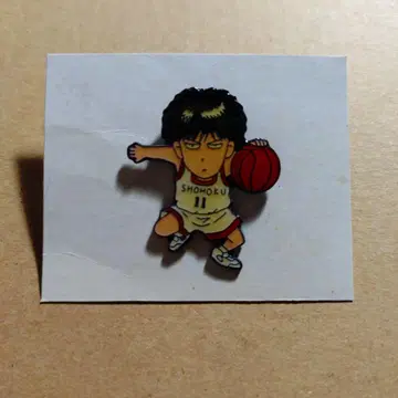 슬램덩크 서태웅 핀 배지 핀즈