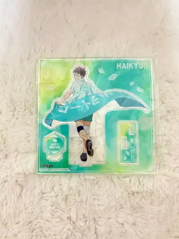 하이큐 오이카와 토오루 아크릴 스탠드 현수막