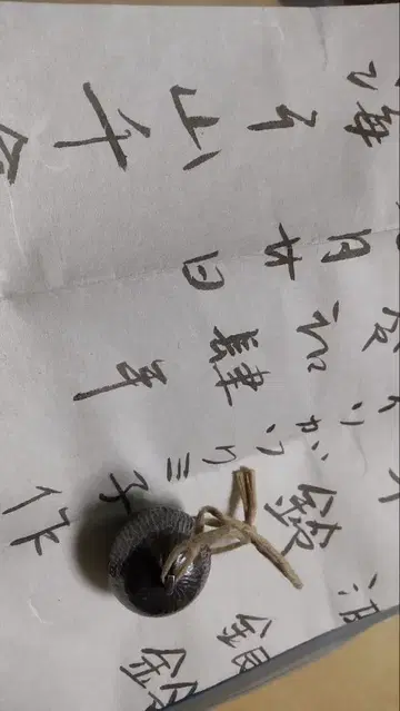 단바 긴레이 센레이 이소가와 쿠미코