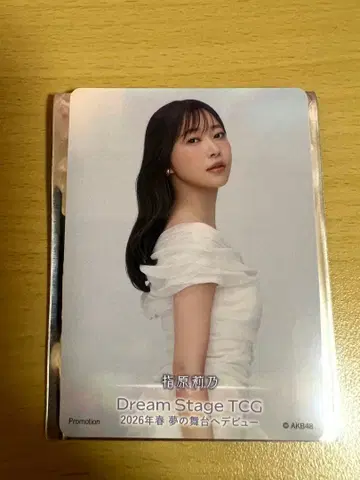 AKB48 사시하라 리노 Dream Stage TCG 무도관 입장 혜택
