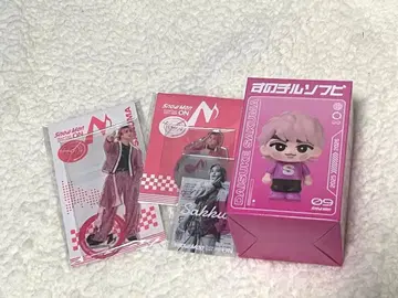 사쿠마 다이스케 세트