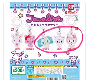 주얼펫 캡슐 토이 3종 세트