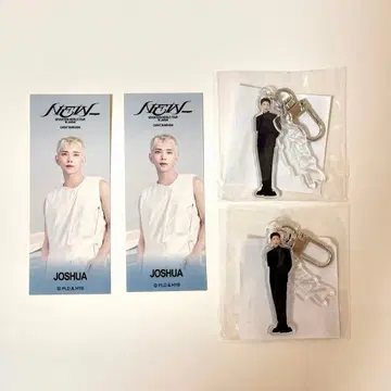 SEVENTEEN NEW 아크릴 키링 스티커 JOSHUA