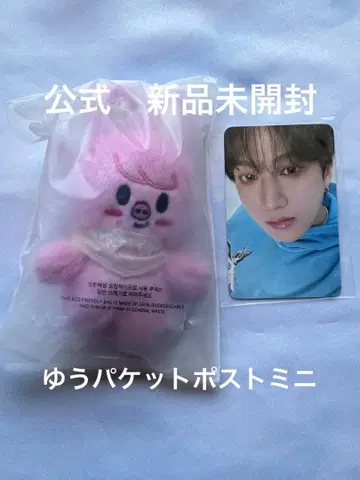 창빈 봉제 인형 10 skzoo 돼끼 stray kids