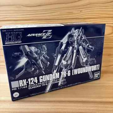 HG 1/144 RX-124 건담 TR-6 운드워트