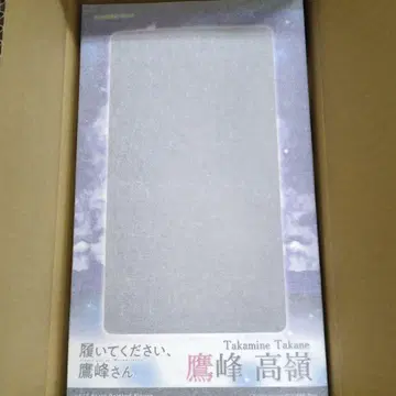 신어주세요 타카네 씨 피규어 1/7