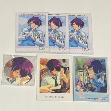 센고쿠 시노부 중국 3주년 파샤코레 파샤츠 폴라로이드 캔뱃지