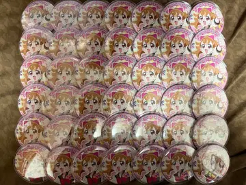 원더풀 프리큐어 트윙클 캔뱃지 13 이누카이 코무기 42점