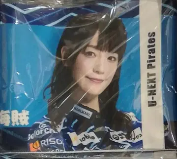 미즈하라 아키나 타월