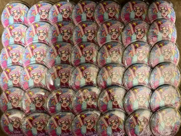 원더풀 프리큐어 감사제 캔뱃지 노멀 이누카이 코무기 42점