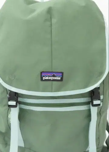 Patagonia 백팩 올리브 그린