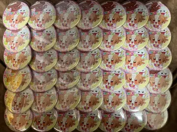 원더풀 프리큐어 이누카이 코무기 트윙클 캔뱃지 12Jump! 캔뱃지