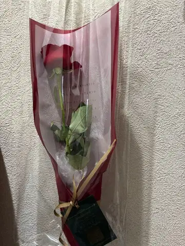 Spotify x DOMOTO 사랑의 덩어리 장미