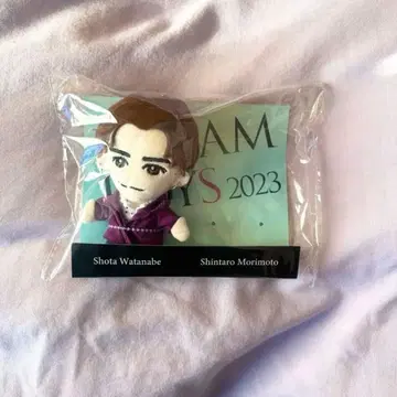 와타나베 쇼타 DREAMBOYS 봉제 인형