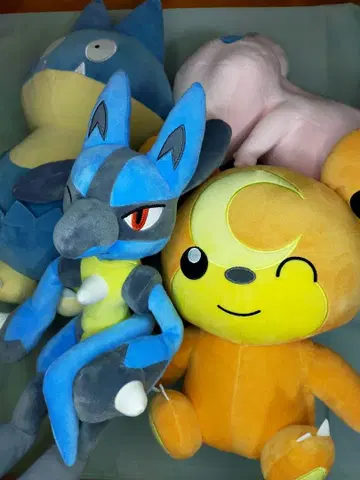 포켓몬 봉제 인형 세트