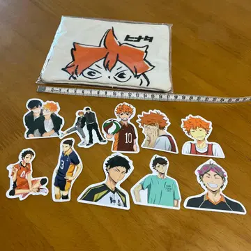 하이큐 히나타 데님 자수 파우치