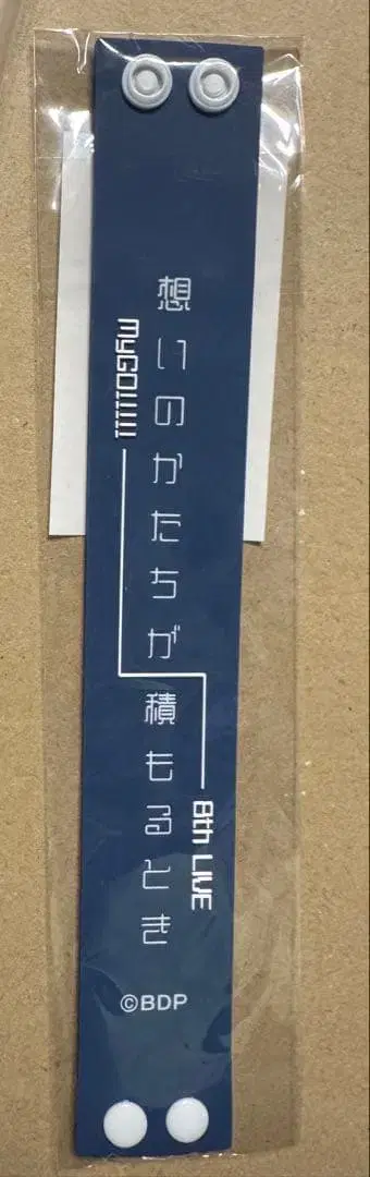 MyGO!!!!! 8th LIVE [마음의 형태가 쌓일 때] 러버 밴드