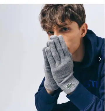 라코스테 택 포함 새상품 장갑 모 100% 남성용