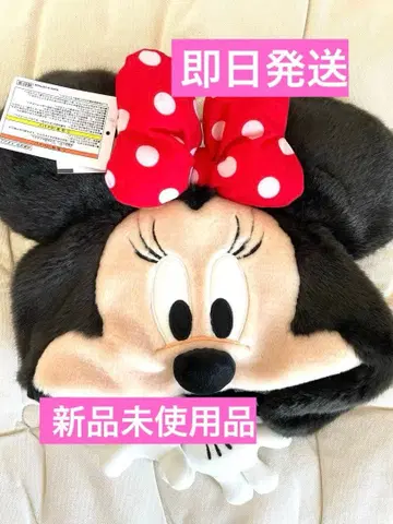 디즈니 미니 팬캡