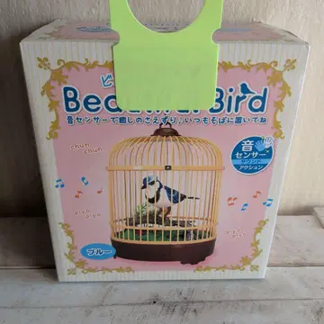 Beautiful Bird 블루