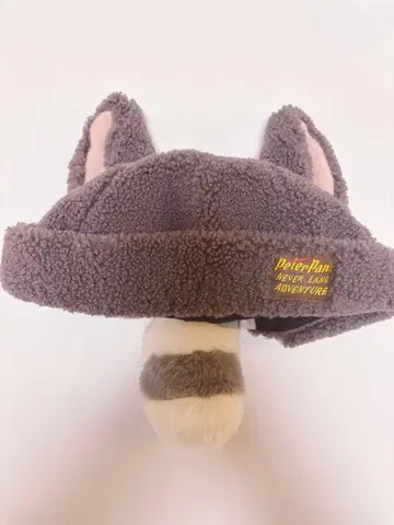 피터팬 잃어버린 아이들 아라이 너구리 모자