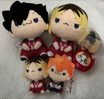 하이큐 모찌피코 BIG 봉제 인형 쿠로오 테츠로 코즈메 켄마 히나타 쇼요