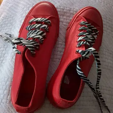 Levi's 레드 스니커즈