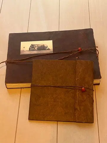 Ashes and snow DVD 그레고리 콜베르