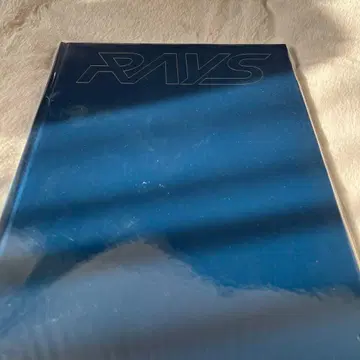 Snow Man Rays 팜플렛