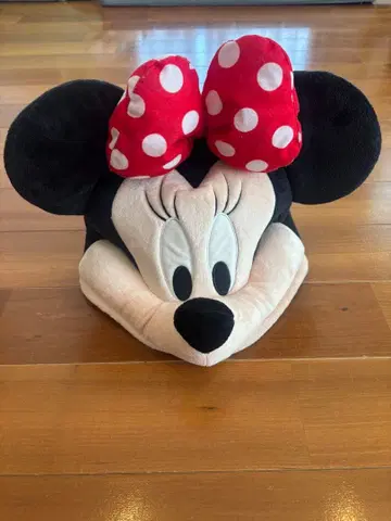 디즈니랜드 미니 팬캡