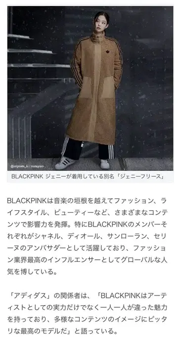 레어! 레어 adidas 보아 플리스 자켓 브라운