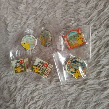 포켓몬 지역 핀 배지