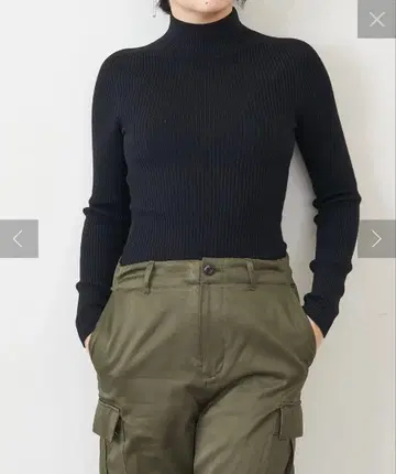 Whim Gazette RIB 터틀 니트