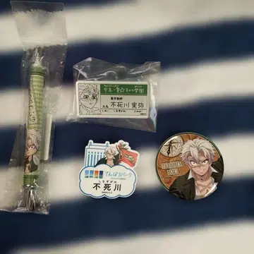 시나즈가와 사네미 굿즈 세트