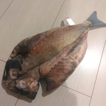 이토 마린타운 한정판 전갱이 구이 봉제 인형