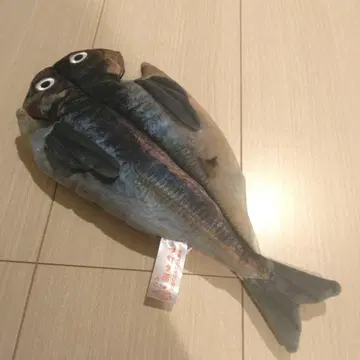 이토 마린타운 한정판 전갱이 구이 봉제 인형