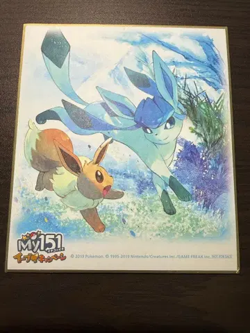 My151 이브이 캠페인 색지 글레이시아