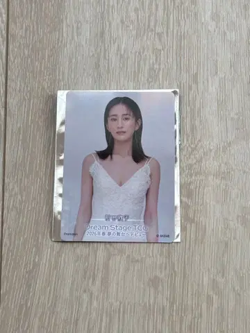 마에다 아츠코 무도관 입장 특전 AKB48