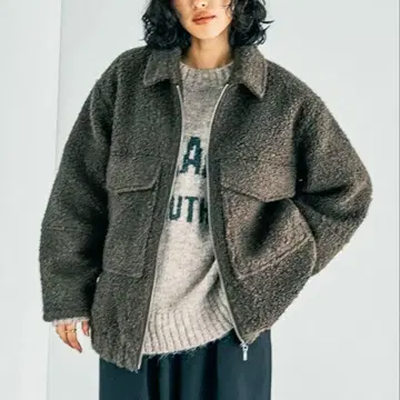 렙심 푸들 부클레 블루종 다크 브라운