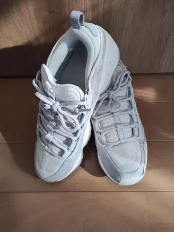 Reebok DMX RUN 10 IICE 26cm