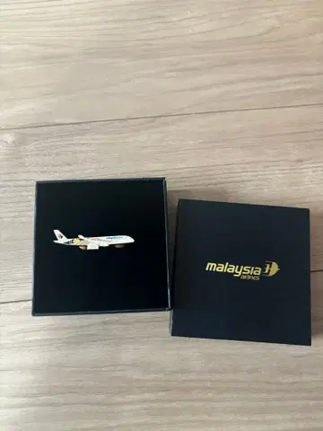 말레이시아 항공 항공기 핀 배지