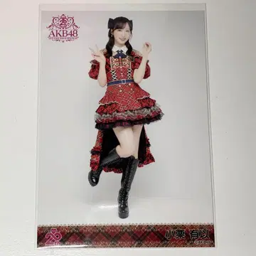 AKB48 오구리 유이 히키 20주년 기념 빨간색 체크 의상