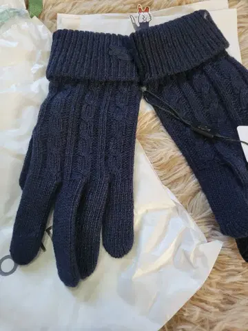 Lacoste 니트 장갑 네이비 000 사이즈