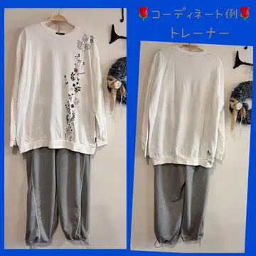 드럭 스토어즈 보타니컬 돼지 프린트 트레이닝복 얇은 소재 튜닉 기장